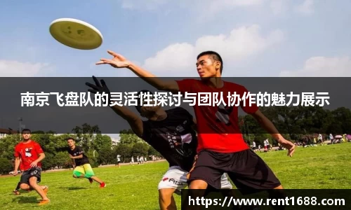 南京飞盘队的灵活性探讨与团队协作的魅力展示