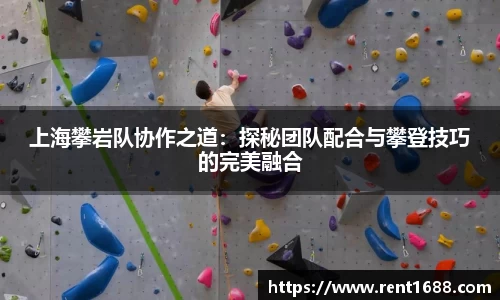 上海攀岩队协作之道：探秘团队配合与攀登技巧的完美融合