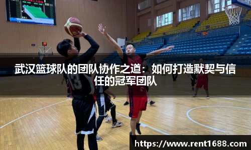 武汉篮球队的团队协作之道：如何打造默契与信任的冠军团队